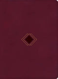 CSB Day by Day Chronological Bible