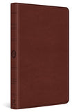 ESV Large Print Bible