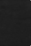 CSB Large Print Thinline Bible