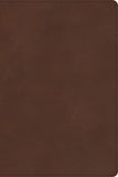 CSB Rainbow Study Bible
