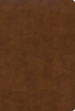 KJV Large Print Ultrathin Reference Bible