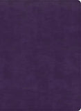 KJV Study Bible Full-Color Charcoal Cloth-Over-Board Red Letter Study Notes Articles Illustrations Ribbon Marker Easy to read Bible font