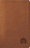 ESV Reformation Study Bible Condensed Edition