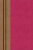 NIV Biblical Theology Study Bible Comfort Print