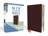 NIV Thinline Bible Giant Print