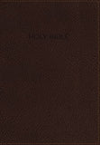 NIV Foundation Study Bible
