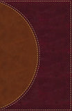 Amplified Reading Bible