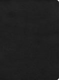 CSB Apologetics Study Bible Hardcover Black Letter Defend Your Faith Study Notes and Commentary Ribbon Marker Sewn Binding Easy-to-Read Bible Serif Type