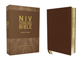 NIV Thinline Bible Giant Print Genuine Leather Buffalo Brown Red Letter Art Gilded Edges Comfort Print
