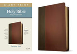 KJV Giant Print Personal Size Bible Filament Enabled Edition