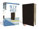 NIV Thinline Bible Giant Print