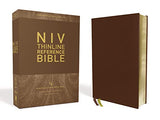 NIV Thinline Bible Comfort Print