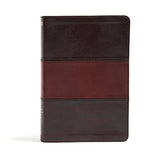 NIV Rainbow Study Bible