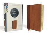 NIV Giant Print Compact Bible Comfort Print