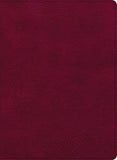 CSB Holy Land Illustrated Bible Burgundy LeatherTouch Black Letter Full-Color Design Articles Photos Illustrations Easy-to-Read Bible Serif Type