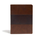 KJV Study Bible Full Color