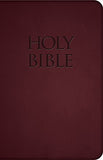 NABRE - New American Bible Revised Edition (Red Premium Ultrasoft)