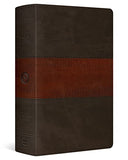 ESV Large Print Bible