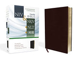NIV NKJV NLT The Message Contemporary Comparative Bible