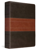 ESV Study Bible