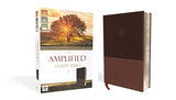 The Amplified Study Bible