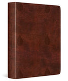 ESV Single Column Journaling Bible