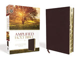 Amplified Holy Bible: Captures the Full Meaning Behind the Original Greek and Hebrew