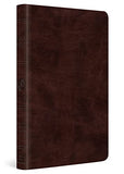 ESV Thinline Bible