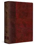 ESV Story of Redemption Bible: A Journey through the Unfolding Promises of God
