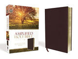 Amplified Holy Bible: Captures the Full Meaning Behind the Original Greek and Hebrew