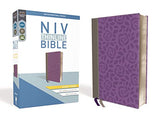 NIV Thinline Bible Giant Print