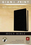 NLT Holy Bible Giant Print