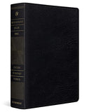 ESV Archaeology Study Bible