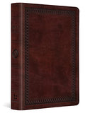 ESV Large Print Compact Bible