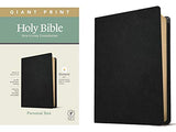 NLT Personal Size Giant Print Holy Bible, Filament Enabled Edition