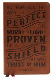 NKJV Personal Size Reference Bible Verse Art Cover Collection Leathersoft Tan Red Letter Comfort Print: Holy Bible New King James Version