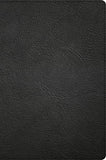 CSB Large Print Thinline Bible
