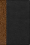 RVR 1960 Biblia de Estudio Arcoiris (RVR 1960 Rainbow Study Bible)