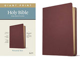 KJV Giant Print Personal Size Bible Filament Enabled Edition
