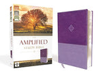 The Amplified Study Bible