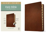 NLT Personal Size Giant Print Holy Bible, Filament Enabled Edition