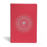 CSB One Big Story Bible