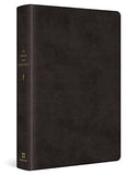 The Greek New Testament