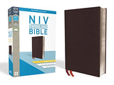 NIV Thinline Bible Giant Print