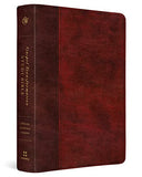 ESV Gospel Transformation Study Bible: Christ in All of Scripture, Grace for All of Life