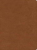 CSB He Reads Truth Bible Saddle LeatherTouch Black Letter Wide Margins Notetaking Space Reading Plans Easy-to-Read Bible Serif Type