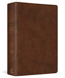 ESV Spanish/English Parallel Bible (La Santa Biblia RVR / The Holy Bible ESV TruTone Brown) (English and Spanish Edition)