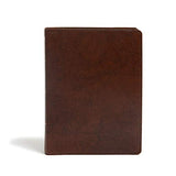 KJV Study Bible Full Color