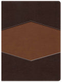 Biblia de Estudio RVR 1960 Holman - RVR 1960 Holman Study Bible
