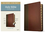 KJV Giant Print Personal Size Bible Filament Enabled Edition